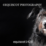 equiscot1428