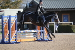 20261031-1116