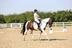 SBM_010144