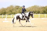 SBM_007952