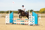 SBM_002964