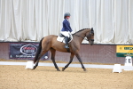 SBM_000936