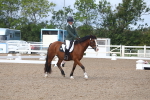 SBM_00288