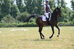 WJ6_8077
