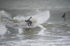 Porth Ceiriad 10th February 2016 portfolio