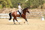 SBM_001640