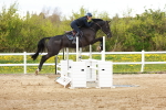 SBM_002672