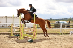 SBM_026981