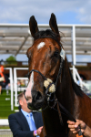270523-Race 7-Shining Blue-1046