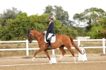 SBM_006295