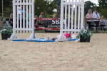 SBM_45417
