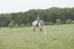 BVHT 140517  NXC -141