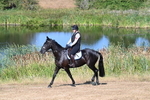 WJ7_6933