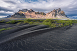 Sand Serpents
