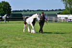 SBM_10037