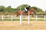 SBM_003011