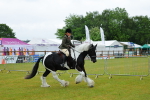 SBM_00928