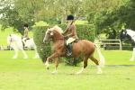 SBM_72064