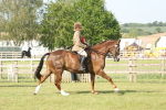 SBM_10261
