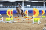 SBM_001281