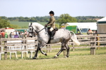 SBM_16109