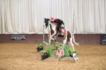SBM_002271