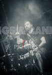 Pigsx7-9