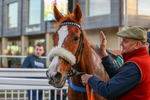 281224-Race 5-Poetry Man-1770