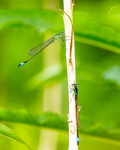 20140621-3K8A2533