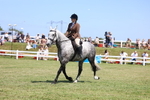 3E7A8204