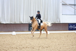 SBM_021300