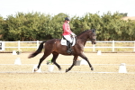 SBM_008688
