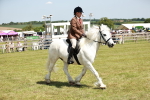 SBM_07068