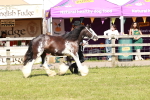 SBM_08549