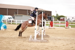 SBM_008650