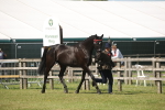 SBM_09083