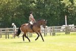 SBM_17793