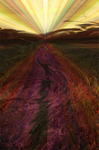 Imaginative, Meditative or Mystical portfolio