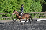 CRC Evening Dressage at Checkingdon 21-05-25 portfolio