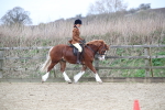 SBM_007167