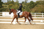 SBM_003344