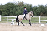 SBM_017914