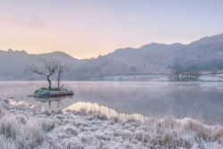 Winter dawn - Rydal Water, Lake District.