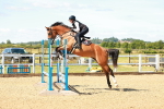 SBM_005050