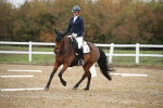 SBM_001584