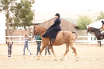 SBM_16415