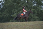 70cm XC (Time on course) portfolio