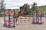 BPP_3753