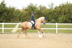 SBM_018506