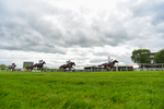 110526-Race 3-Laravie-2456
